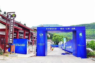 走，采茶去！第五屆“巴中云頂”茶文化旅游節明日盛大啟幕